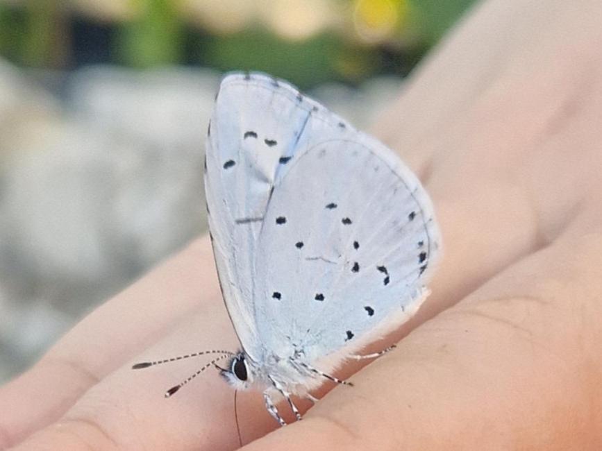 Tiefenthal Karibu 아파트 외부 사진